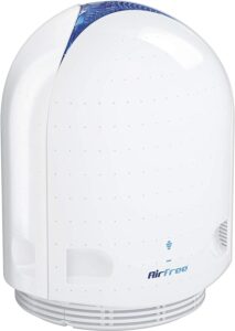 AIRFREE P1000